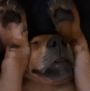 Meet your Posher, Brandon